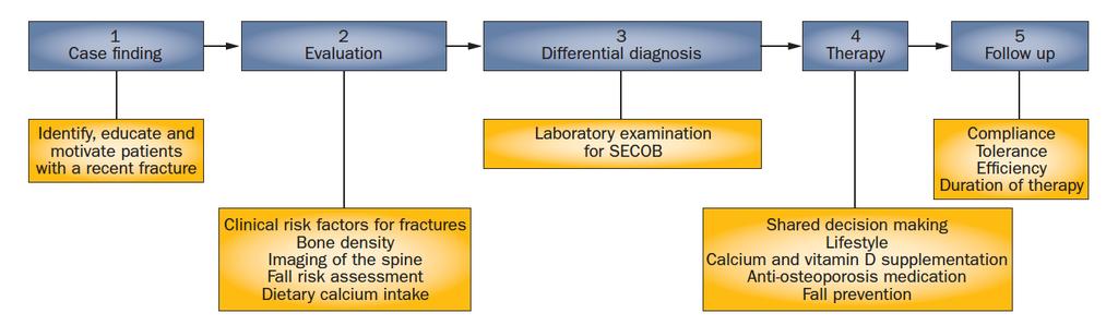 Fracture prevention: a five-step approach van den