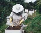 Honing, Bijenkasten, Imkerbenodigdheden