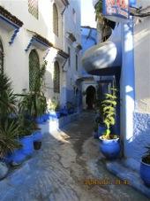9 Tanger- Tetouan- Chefchaouen Door het Rif-gebergte en via Tetouan rijdt u naar het pittoreske Chefchaouen.