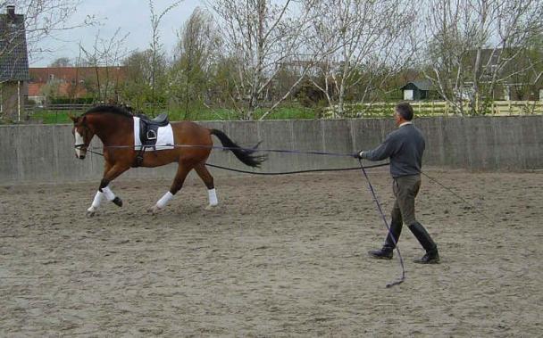 Menclub Pajottenland organiseert clinic Menclub Pajottenland organiseert een clinic met twee sprekers in de Cam te Gooik Antoine de Bodt Antoine De Bodt werd geboren in 1949 en groeide tussen de