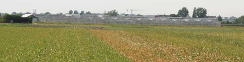 Het complex is gelegen midden in de polder Berg en Daal en ligt ongeveer 100 meter verwijderd van een zijtak van de Loosterweg.