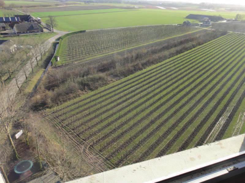 afbeelding 3: foto van watertoren gezien vanaf de Hollendewagenweg