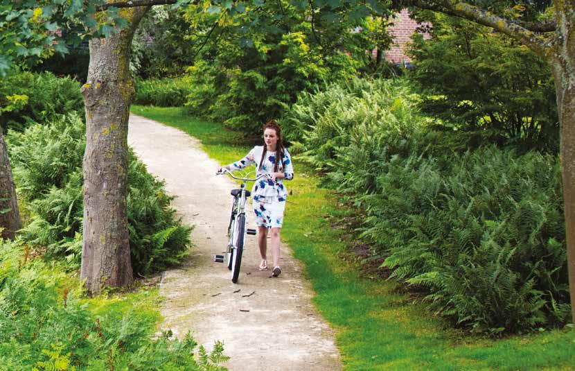 STANDS OUT Het is heerlijk comfortabel fietsen op de Cortina Chrono dankzij de dikke banden. Ze vormen een mooi contrast met het slanke frame en geven dit fietsmodel een uniek uiterlijk.