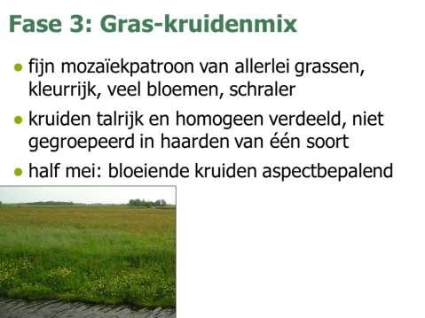 Fase 3 grassen: rood zwenkgras, gewoon struisgras, gewoon reukgras nemen toe kruiden: scherpe