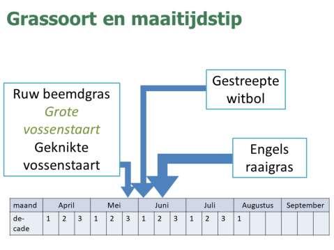 >50% raaigras: eerste helft juni >50% ruw beemdgras: 20 mei >50% grote vossenstaart: