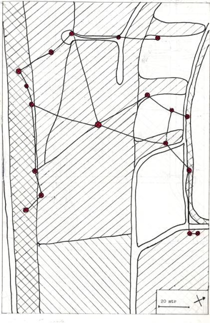 Fig. 5 Kolonie F. polyctena (N29) in vak 105F (Verkade & Wientjes, 1986). Vaknr. soort nesten bijzonderheden (kolonies) 094A F.rufa 2 (2) 061T F.rufa 1 (1) 114D F.pratensis 1 (1) F.