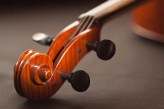 het gebied van de klassieke muziek in brede zin en het bieden van een podium aan veelbelovende jonge musici.