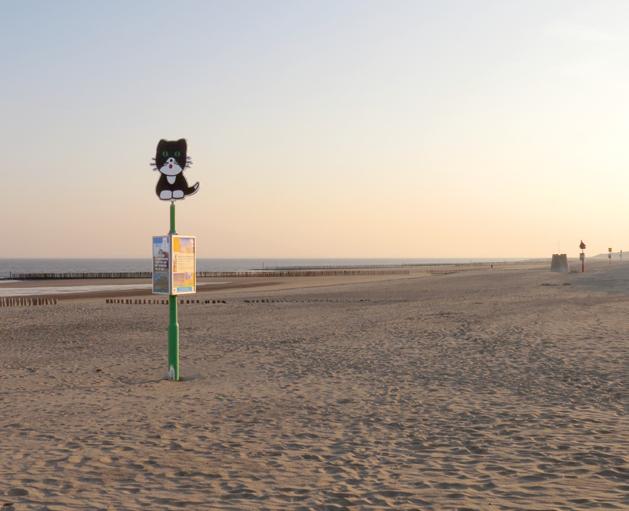 VOOR EEN ONVERGETELIJKE VAKANTIE Ein unvergeßlicher Urlaub MUSEA Loop binnen bij een van de vele musea in de Zwinstreek; denk aan het Visserijmuseum in Breskens, het Bizarium in Sluis, het