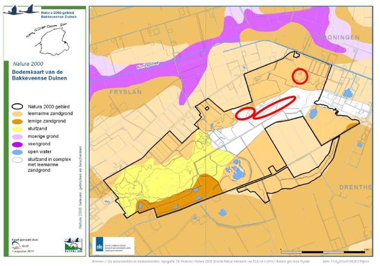 Afbeelding 12: Locatie van de herstelprojecten, geprojecteerd op de bodemkaart van het concept beheerplan (Bron: Concept beheerplan Natura 2000 gebied Bakkeveense Duinen (jan.