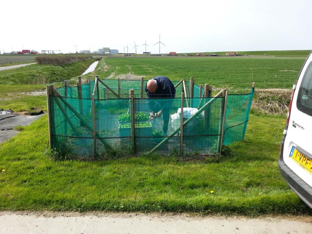 II -4 Figuur II-2. Meetpunt 1 van het biomonitoringprogramma met op de achtergrond de REC. Oppervlakte van circa 20 m 2, afgezet met windbreekgaas en vrij zicht in de richting van de REC.