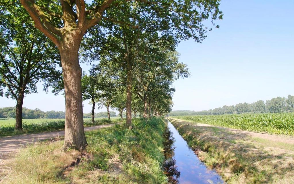 Locatie: Zoggelsestraat 59, 5384 VD Heesch. - in prachtige, groene woonomgeving - in het buitengebied van Heesch - op korte afstand van uitvalswegen Heesch en omgeving Heesch telt ongeveer 12.