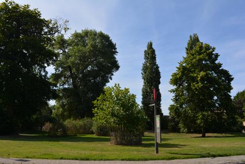 geen tekort aan wijkgroen (>10 ha). Er zijn evenmin tekortzones voor buurtgroen (>1 ha) en woongroen (<0,5 ha).