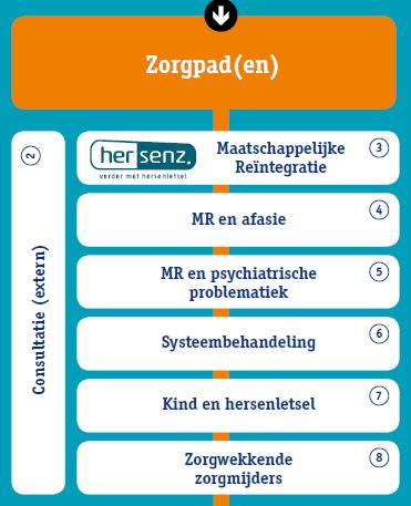 Zorgpaden 1. Functionele diagnostiek (voor ieder zorgpad) 2. Consultatie 3. Hersenz: MR 4. MR en afasie 5.