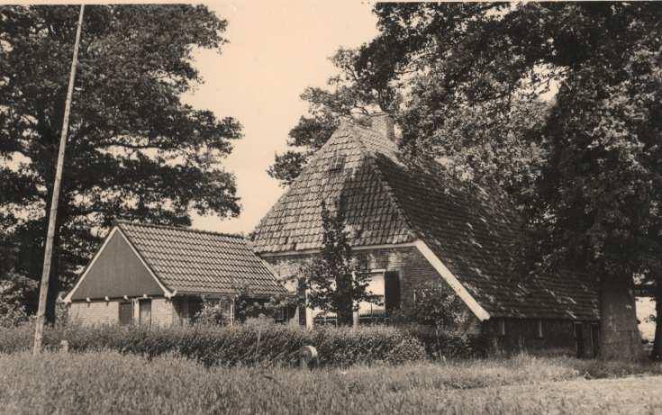 Zij kregen 4 kinderen: Leide (1770-1843) die in 1791 trouwde met Hendrik Janssen Teemker en boerin werd op n Teemker (5.2.