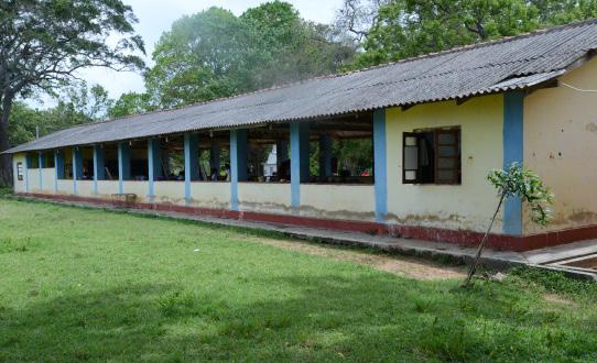 van beatel bladeren. Dit is een traditie in Sri-Lanka.