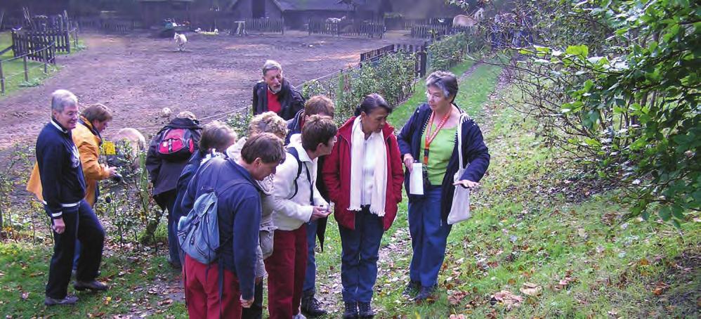 Paddenstoelenexcursie in Keukenhofbos Lutgarde Roelandt Ter gelegenheid van het 100-jarig bestaan van de Nederlandse Mycologische Vereniging heeft onze paddenstoelenwerkgroep op 11 oktober een open