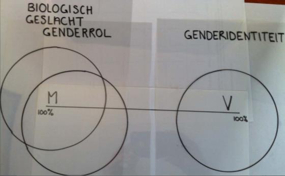 Verschil genderidentiteit, genderrol en seksuele oriëntatie: niet vanzelfsprekend. Pschyo-educatie: Wat is genderdysforie?