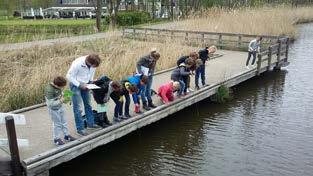 Woensdag zijn we naar Alpen aan den Rijn geweest om een natuurwandeling te maken langs De Kromme Aar. We hebben veel ooievaars gezien en allerlei andere vogels en plantjes.