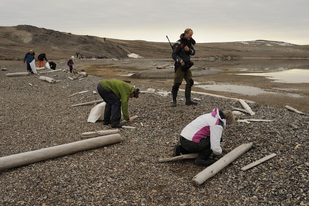 Op de aardrijkskunde website GeoGraphixs.com is meer informatie over Coastwatch te vinden: http://www.geographixs.com/coastwatch en op de website van Stichting Noordzee. Wat? Coastwatch 2017 Waar?