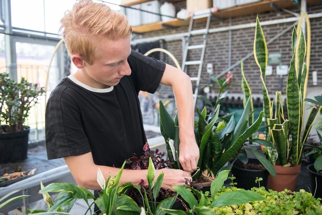 Het Schoolplan heeft in de kwaliteitszorg een centrale plaats, omdat het de kern vormt van de beleidscyclus. In het Schoolplan zijn de plannen voor vier jaar verwoord.