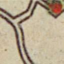 Deze zones waren in het verleden vaker drassig en vormden Fig. 6 Kaart van Visser-Roman, ca. 1680, geprojecteerd op de huidige topografie.
