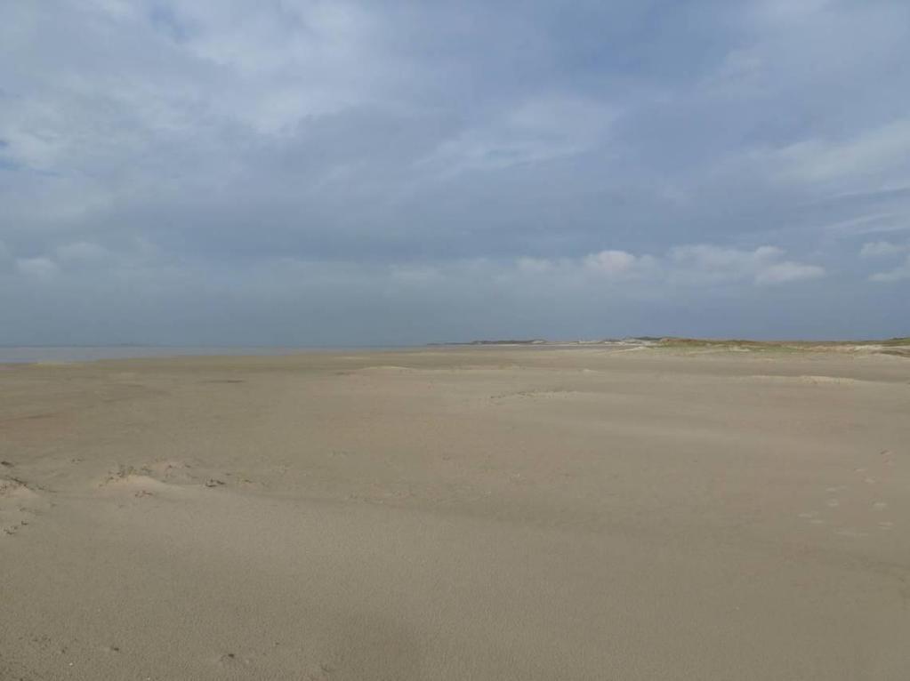 4.2. Landschapsecologische uitwerking van Vlieland 31 Meer in detail worden hieronder de afzonderlijk onderscheiden geo-ecologische hoofdvormen uit de landschapsecologische indeling (figuur 4.2. en 4.