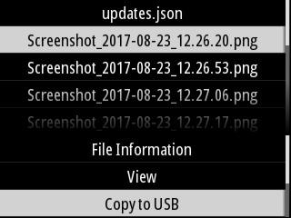 NB: Om de optie Copy to USB (Kopiëren naar USB) weer te geven, dient u een correct geformatteerd USB-station aan te sluiten via de achterkant