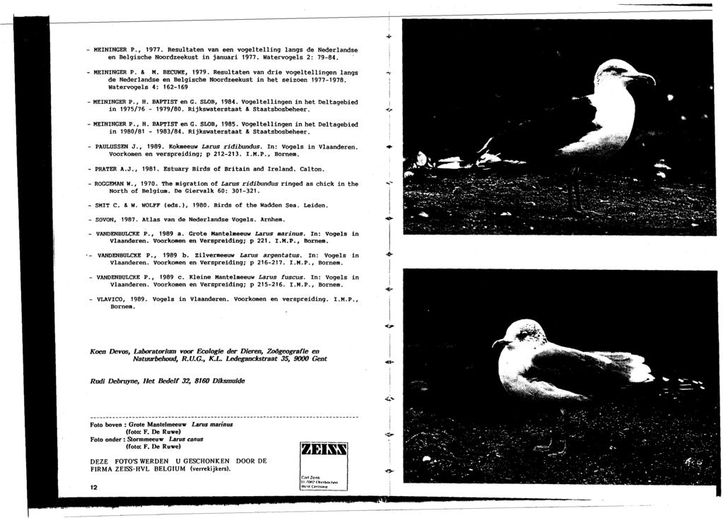 MENNGER P, 977 Resultaten van een vogeltellng langs de Nederlandse en Belgsche Noordzeekust n januar 977 watervogels 2: 7984 MENNGER P & M BECUWE, 979 Resultaten van dre vogeltellngen langs de