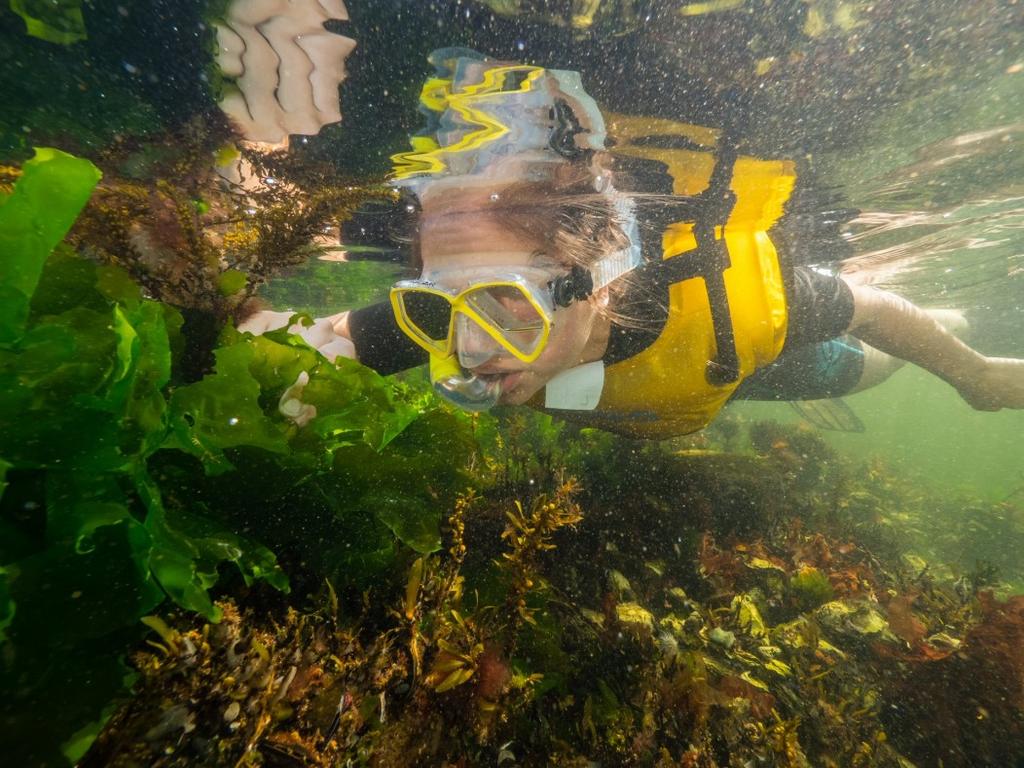 Met echte duikflessen, flippers aan en een masker op leer jij in het zwembad alles, zodat jij er klaar voor bent om het open water in te gaan! Meedoen kan vanaf 10 jaar.