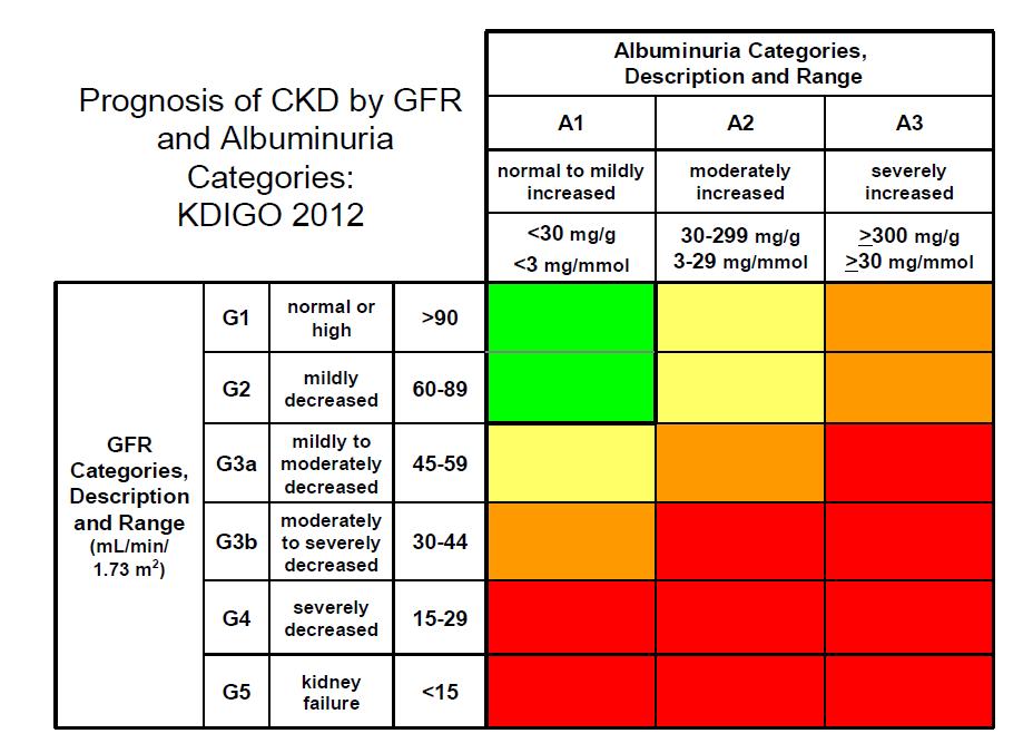 Aanpassing stadia CNS Prognosis of CKD based on GFR en Albuminuria categories: KDIGO No CKD (88%) Mild risk (9,2%) Moderate risk (2,0%) High risk (<1%)