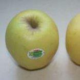 Als de appel wat langer ligt wordt de kleur geler en het vruchtvlees minder stevig. Ook wordt de appel zoeter van smaak.