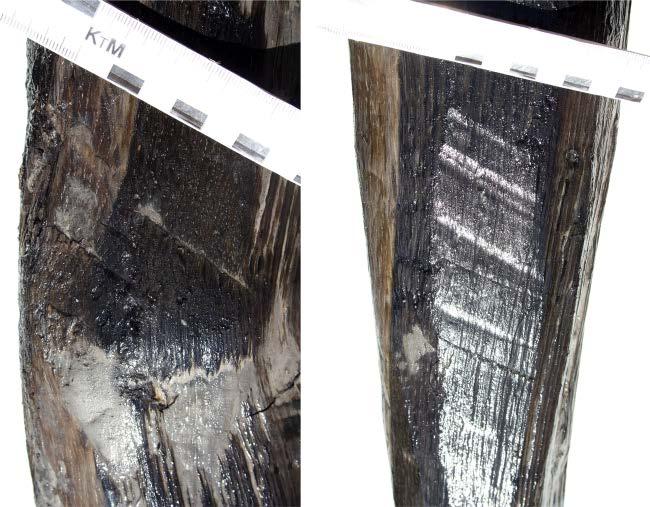 Afb. 2.14 Eiken palen van de zuidelijke wegbeschoeiing op locatie E. Links: knoest op de paal met vondstnummer 10.2. Rechts: Bijlinslagen op de paal met vondstnummer 10.2 (foto s: S. Lange).