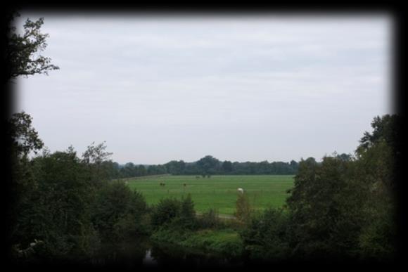 Zoals vaak was er sprake van een mooie zonsopkomst, foto Wim Wijering De vogeltellingen mogen zich doorgaans verheugen in een redelijke deelname.