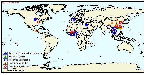 concerns in affected regions Global bird flyways: an ongoing