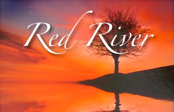 AUDIOQUEST RIVERS Red River De Red River bevat geleiders van het bekende Long Grain Copper dat Audioquest in al haar instapmodellen gebruikt.