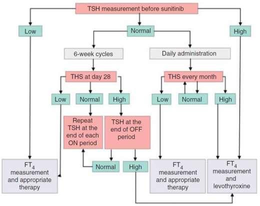 Schildklierdysfunctie door TKI Schildklierfunctiecontrole bij