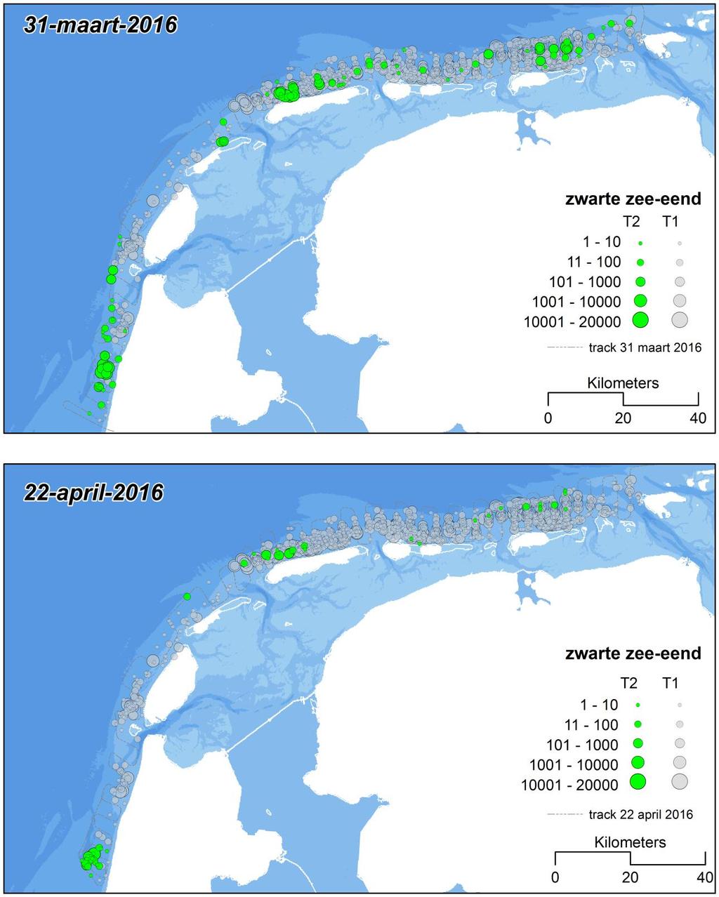 A&W-rapport 2432 Addendum Passende Beoordeling zandwinning en -transport PHZD Texel (Q2N en L15) 25 Bijlage 3 Update voorkomen Zwarte zee-eend A065 Zwarte zee-eend Recentere informatie is beschikbaar