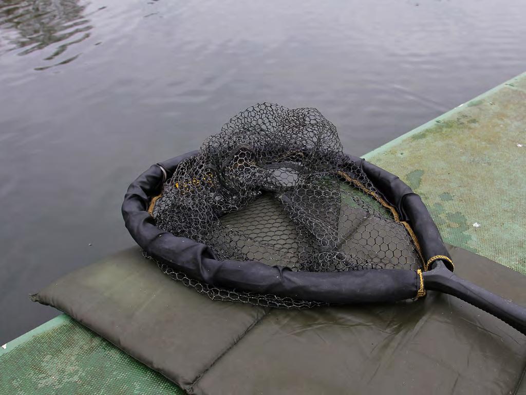 4 Een goed net is onmisbaar. Dit geldt zowel voor de vis als de visser. Neem een net met een rand van foam.