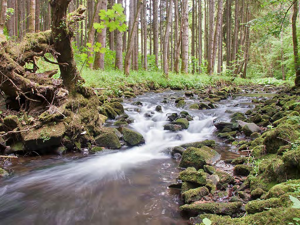 ZIJSTAPJES? De Kyll heeft een paar bevisbare zijbeken: de Oosbach en de Kallenbach.