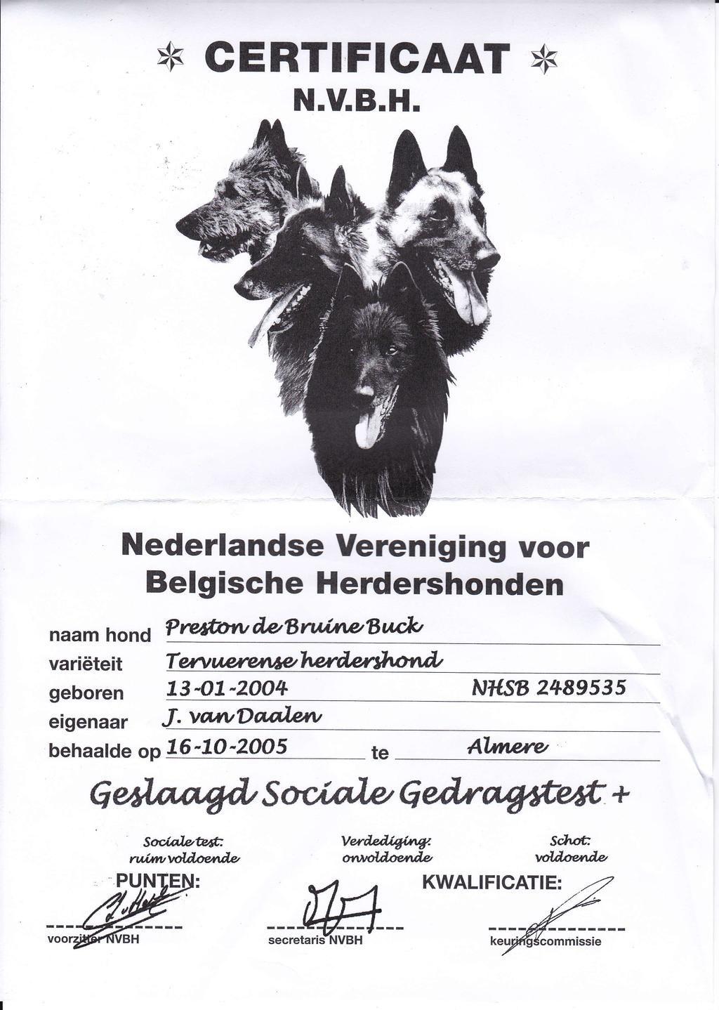 * GERTIFIGAAT * N.V.B.H. Nederlandse Vereniging voor Belgische Herdershonden naam hond? y?