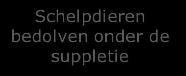 suppletie Verstoring van