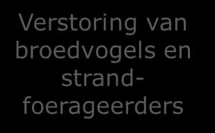 voorwaarden in