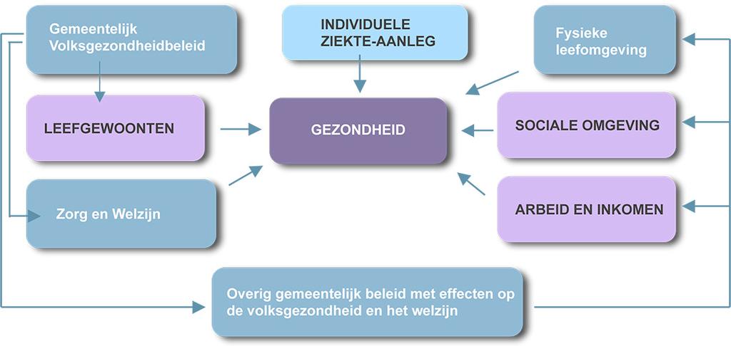 Nota Volksgezondheid 2009-2012 Hellevoetsluis pag: 20 6. GEMEENTELIJK GEZONDHEIDSBELEID De gemeente kan met het gezondheidsbeleid veel doen aan de omstandigheden voor een gezond leven voor de burgers.