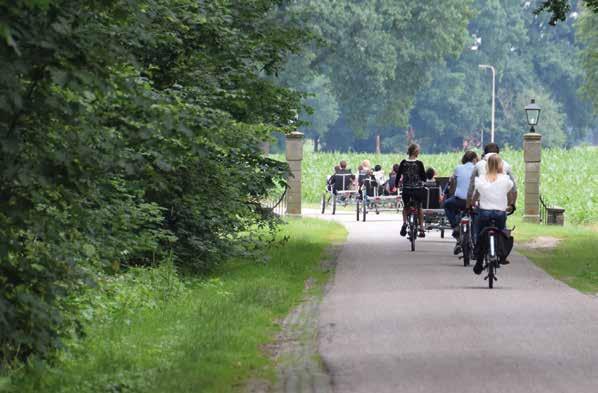 Check: www.twentefiets.nl voor alle mogelijkheden FIETSVERHUUR TwenteFiets is dé allround fietsverhuur van Oost-Nederland.