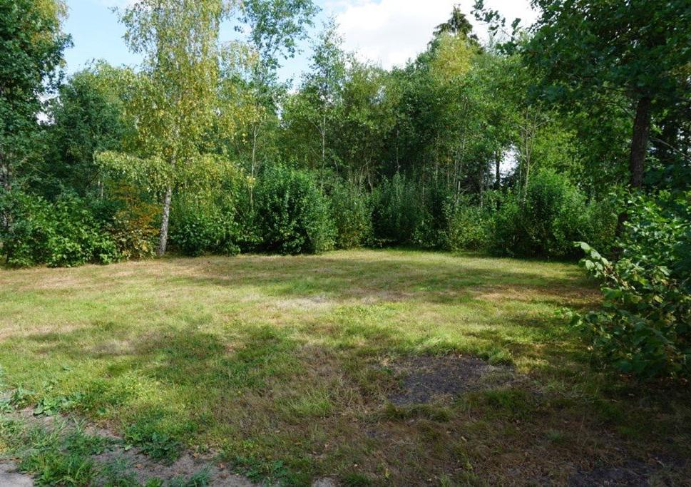 Naast het Drents Friese Wold vindt u in de omgeving een zandverstuiving (Aekingerzand), een ven (Grenspoel) en vochtige heidevelden (Doldersum) en het reeds genoemde