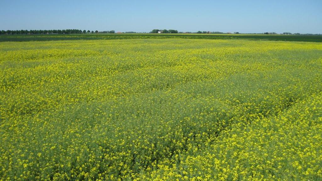 De maand maart 2012 en de eerste twee weken van april waren relatief droog, met normale tot lage temperaturen.