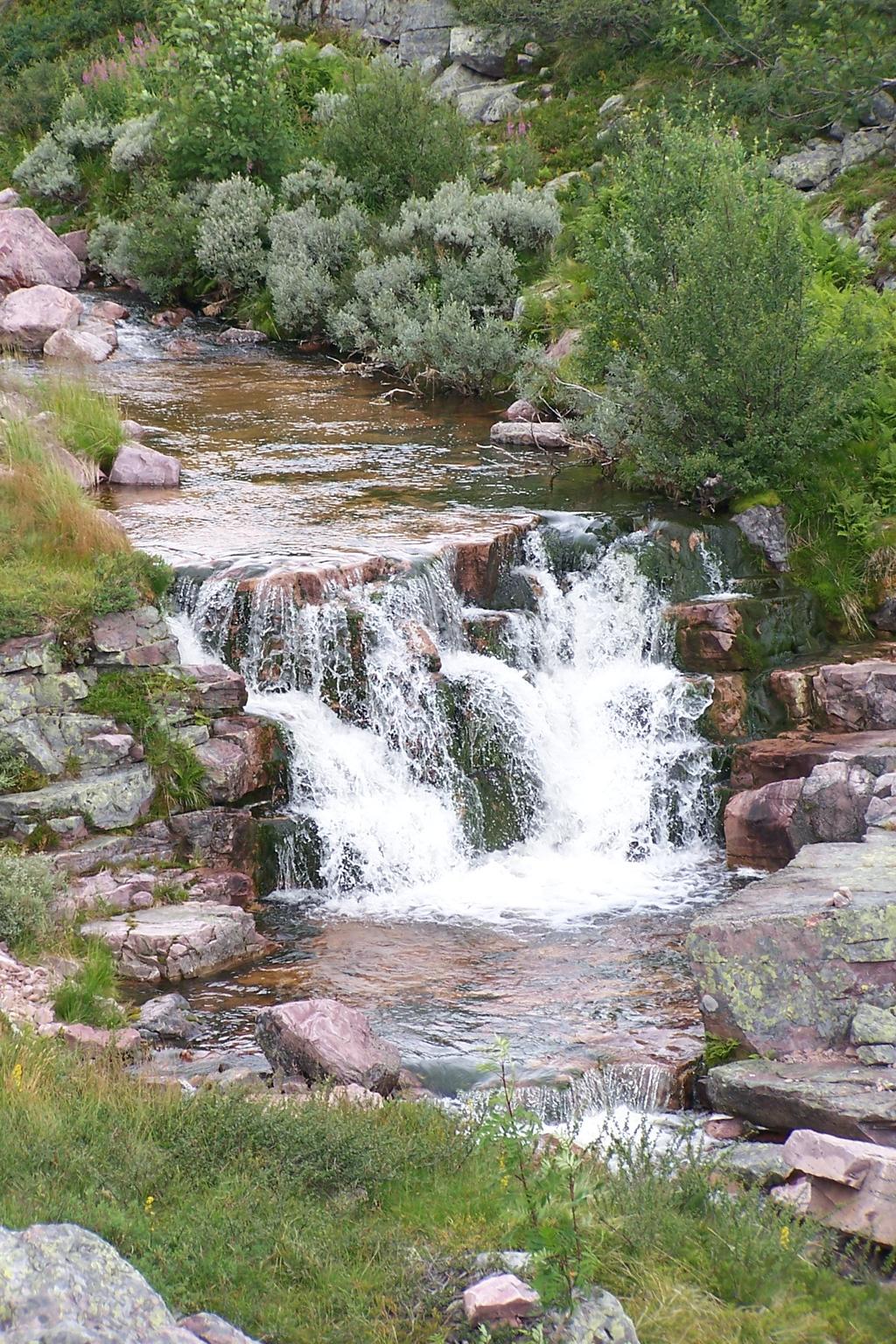 Ook ophalen op een vliegveld is mogelijk! Locatie: Dit avontuur vindt plaats in de provincie Dalarna, Midden-Zweden.