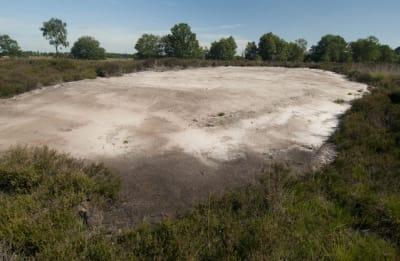 7 Heideveldje Rechts ligt een mooi heideveldje.