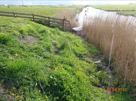 4.3 Molenerf Grondslag - terrein algemeen M Zie ook rubriek 1.1 en 2.2.2. Met name zorg besteden aan de lekkage vanuit de boezem naar de polder (rubriek 1.1). Lekkage in het talud zichtbaar. 4.