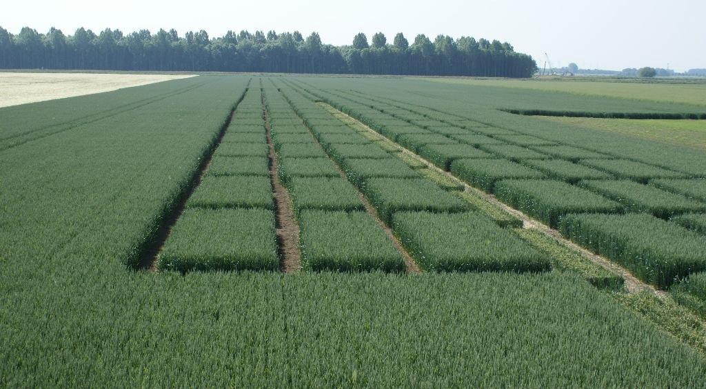 Stichting Proefboerderijen Noordelijke Akkerbouw